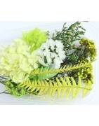 Trockenblumen