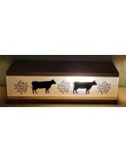 LED Balken Boxen